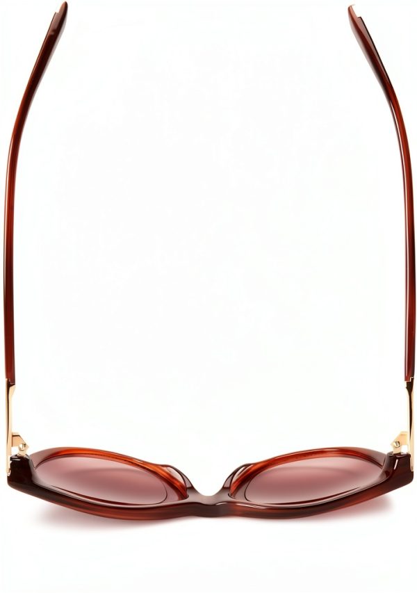Dsquared2 Womens Sunglasses Light Brown Gradient Brown-4
